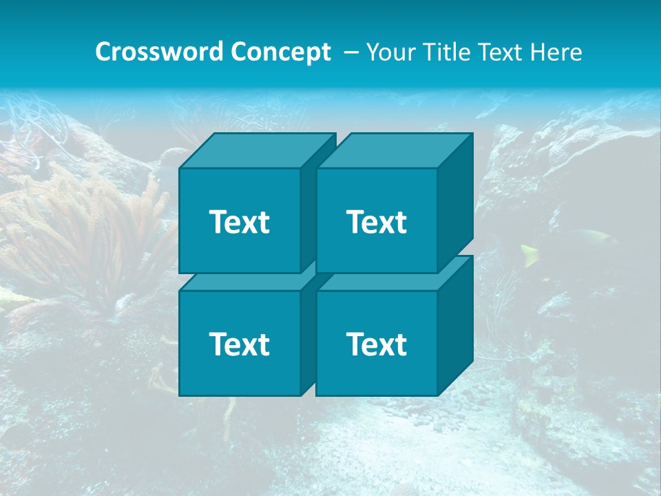 Scenery Yucatan Swimming PowerPoint Template