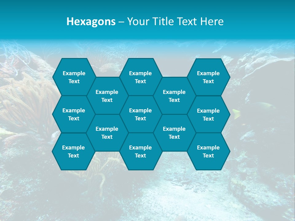 Scenery Yucatan Swimming PowerPoint Template