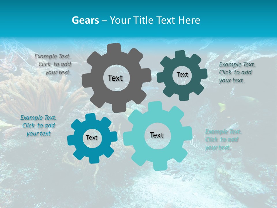 Scenery Yucatan Swimming PowerPoint Template