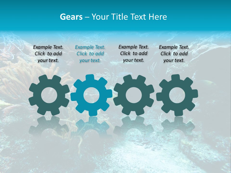 Scenery Yucatan Swimming PowerPoint Template