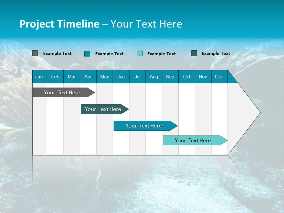 Scenery Yucatan Swimming PowerPoint Template