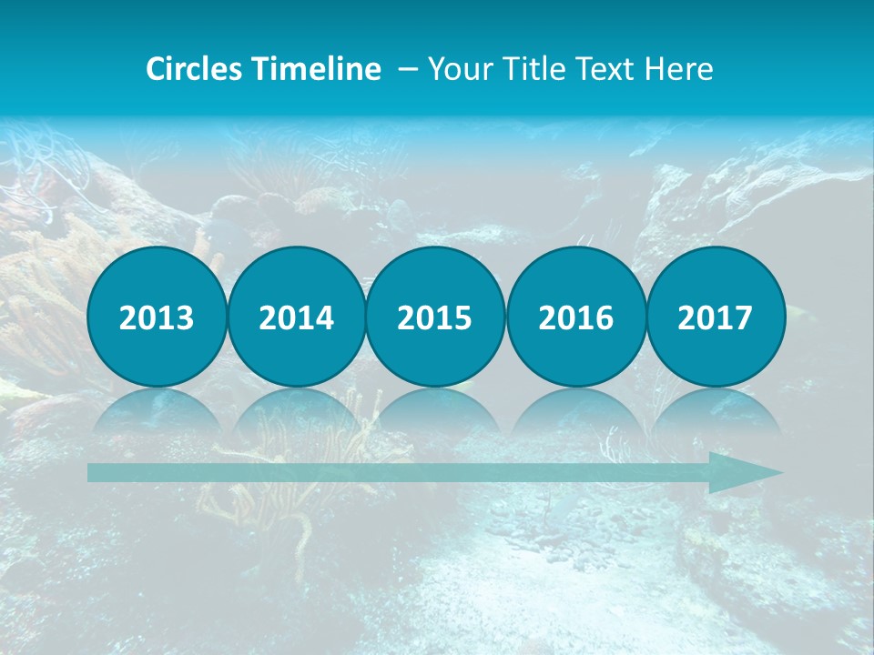 Scenery Yucatan Swimming PowerPoint Template