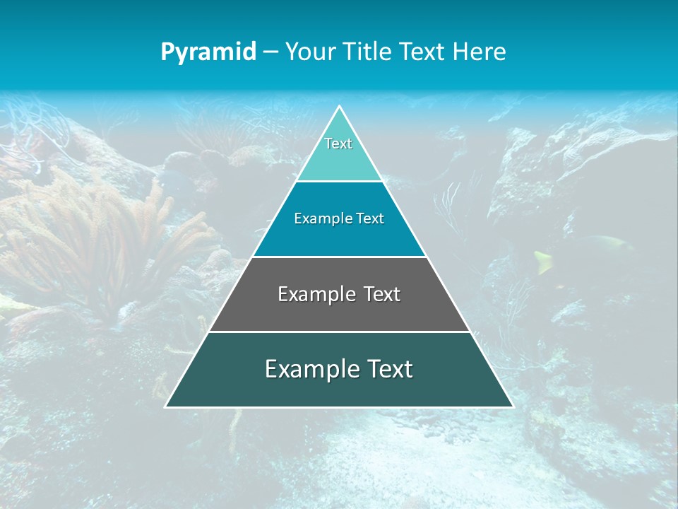 Scenery Yucatan Swimming PowerPoint Template