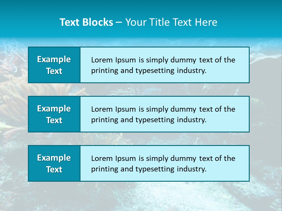 Scenery Yucatan Swimming PowerPoint Template