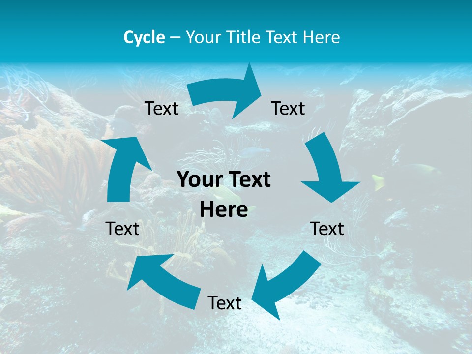 Scenery Yucatan Swimming PowerPoint Template