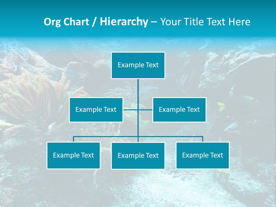 Scenery Yucatan Swimming PowerPoint Template