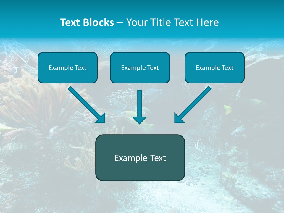 Scenery Yucatan Swimming PowerPoint Template