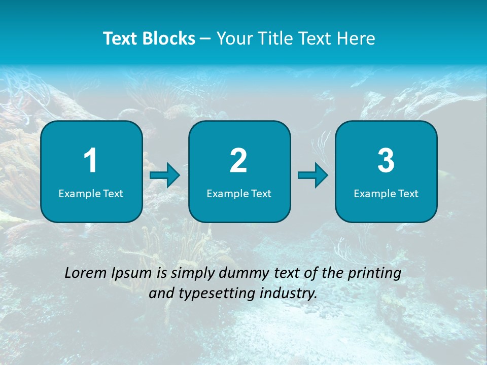 Scenery Yucatan Swimming PowerPoint Template