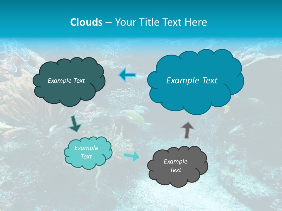 Scenery Yucatan Swimming PowerPoint Template