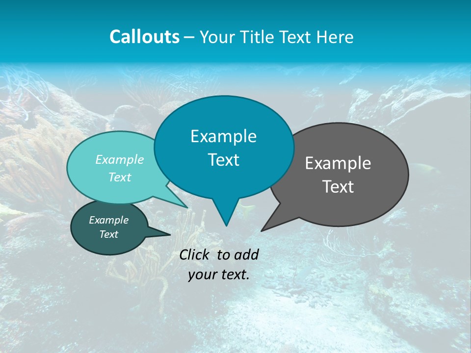 Scenery Yucatan Swimming PowerPoint Template