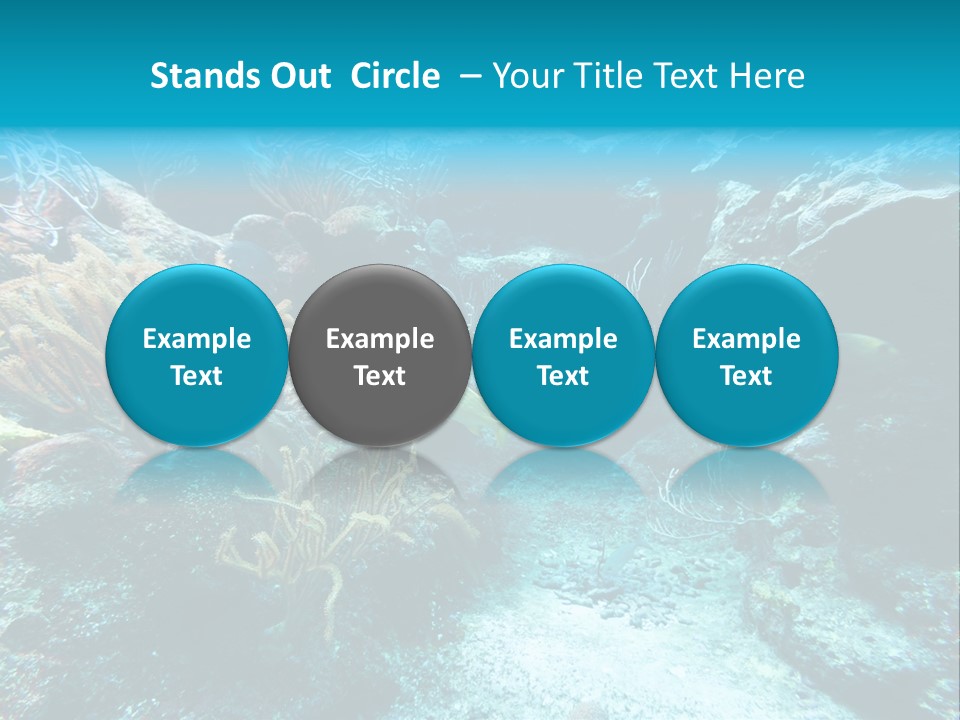 Scenery Yucatan Swimming PowerPoint Template