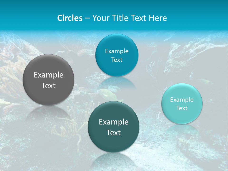 Scenery Yucatan Swimming PowerPoint Template