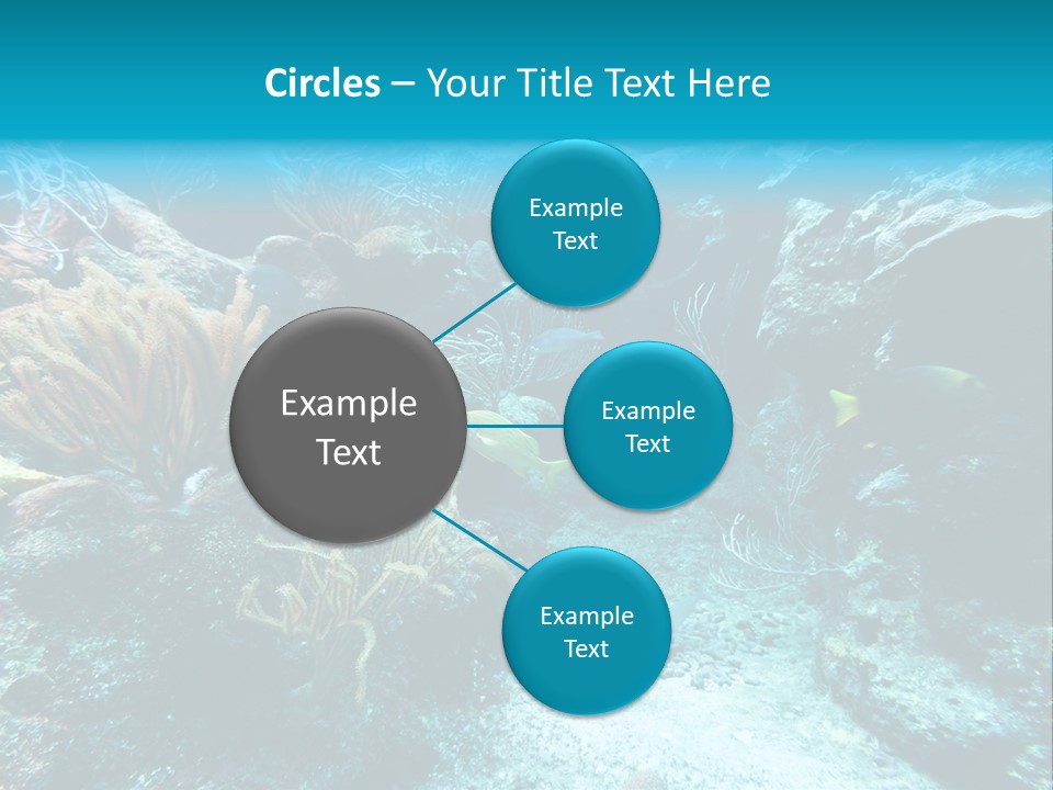 Scenery Yucatan Swimming PowerPoint Template