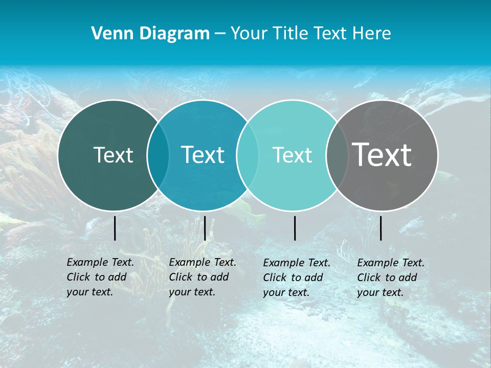 Scenery Yucatan Swimming PowerPoint Template