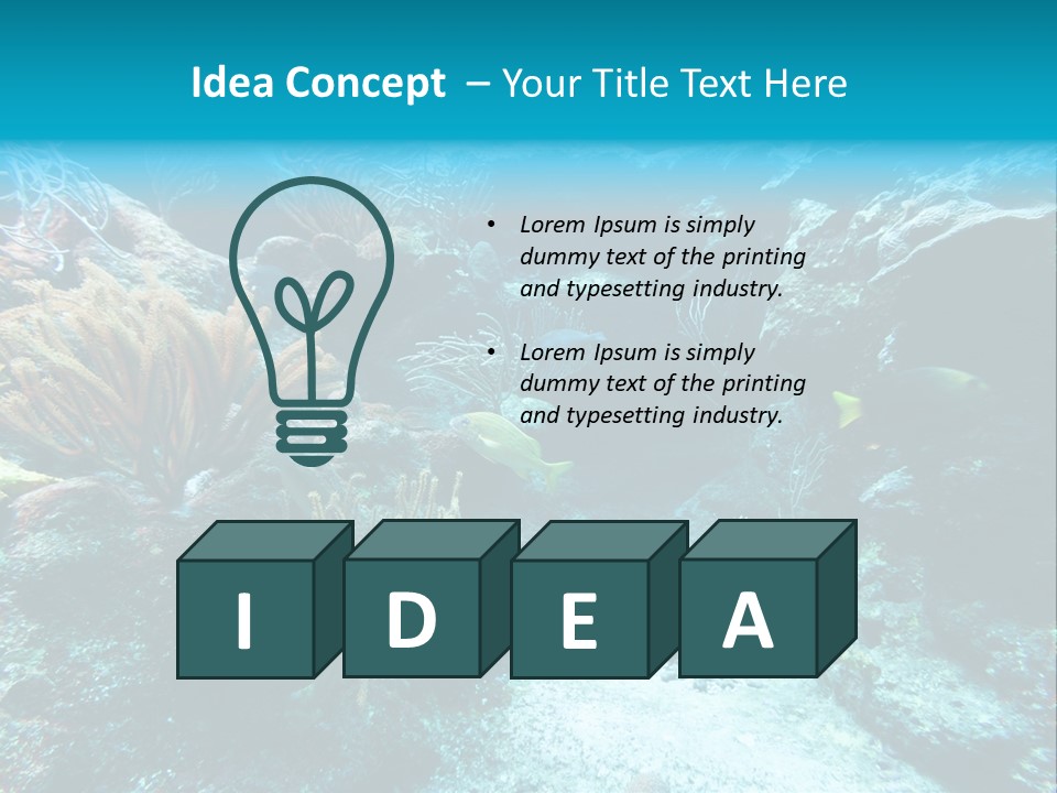 Scenery Yucatan Swimming PowerPoint Template