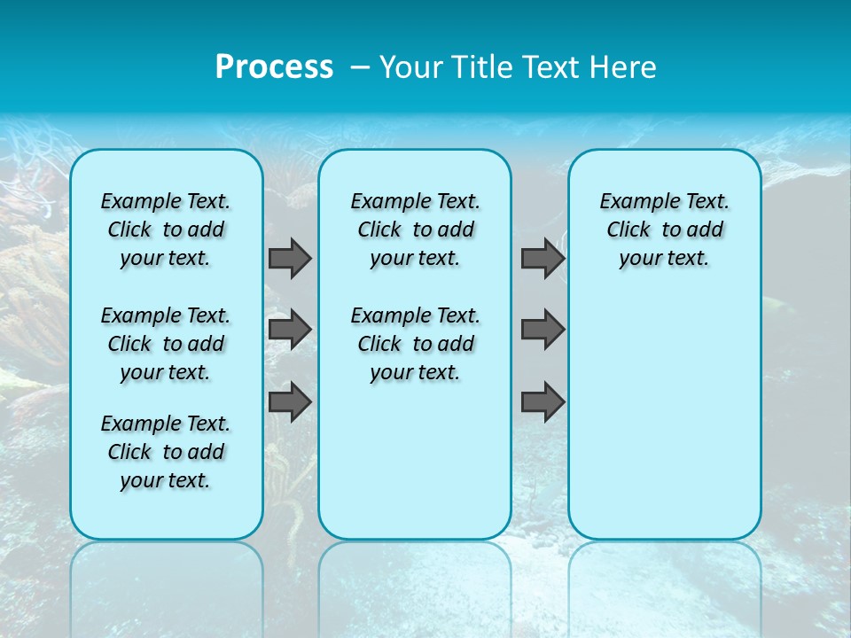 Scenery Yucatan Swimming PowerPoint Template
