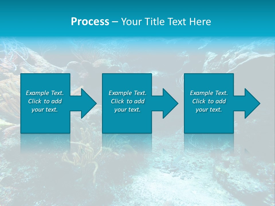 Scenery Yucatan Swimming PowerPoint Template