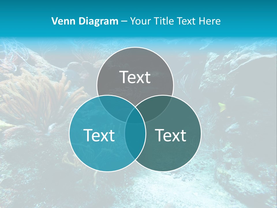 Scenery Yucatan Swimming PowerPoint Template