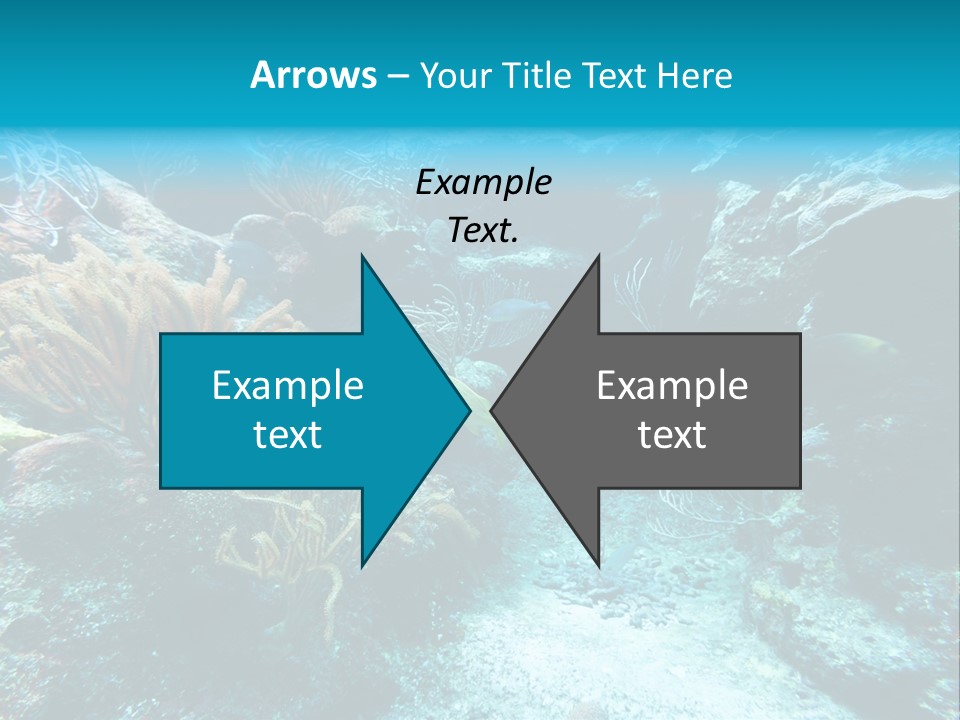 Scenery Yucatan Swimming PowerPoint Template