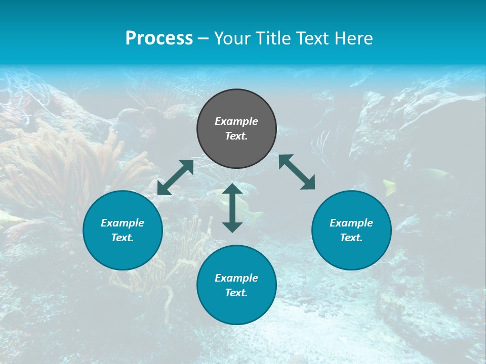 Scenery Yucatan Swimming PowerPoint Template