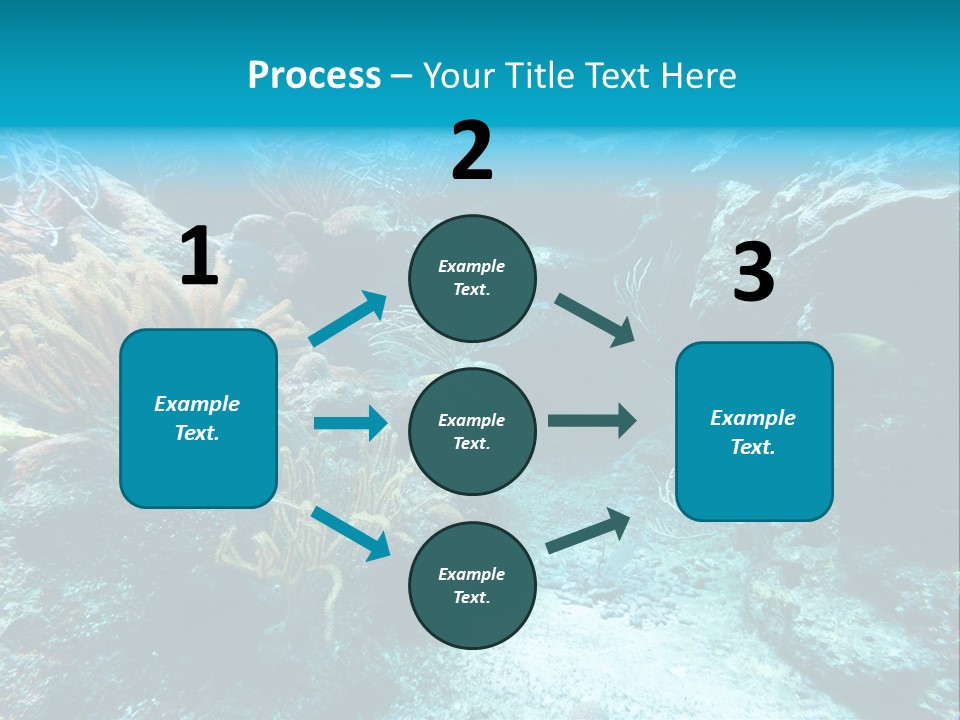 Scenery Yucatan Swimming PowerPoint Template