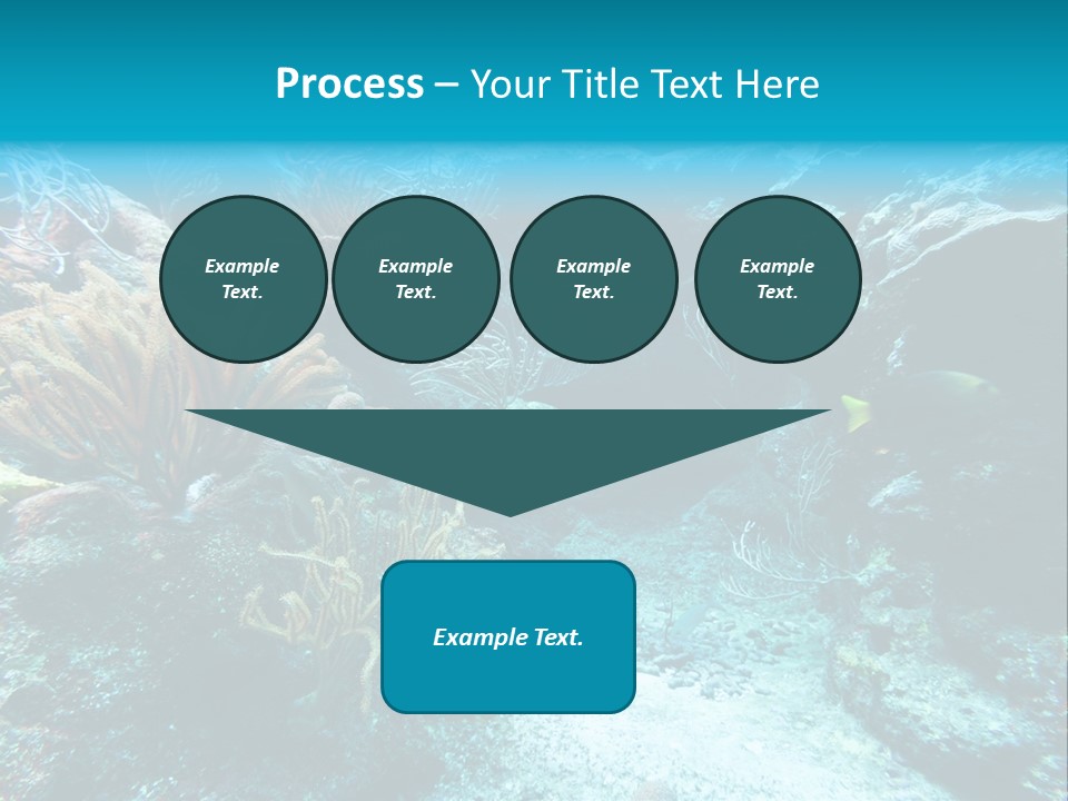 Scenery Yucatan Swimming PowerPoint Template