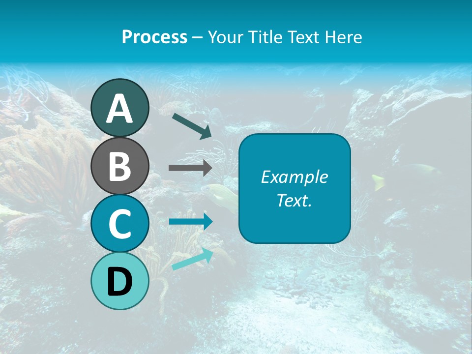 Scenery Yucatan Swimming PowerPoint Template