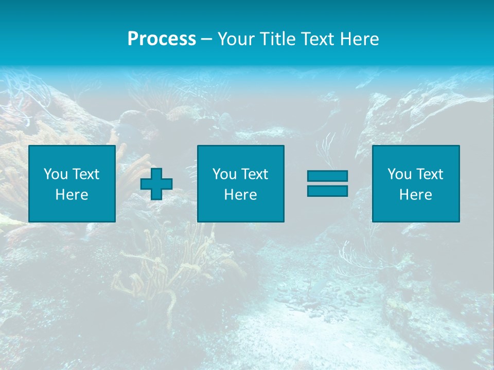 Scenery Yucatan Swimming PowerPoint Template
