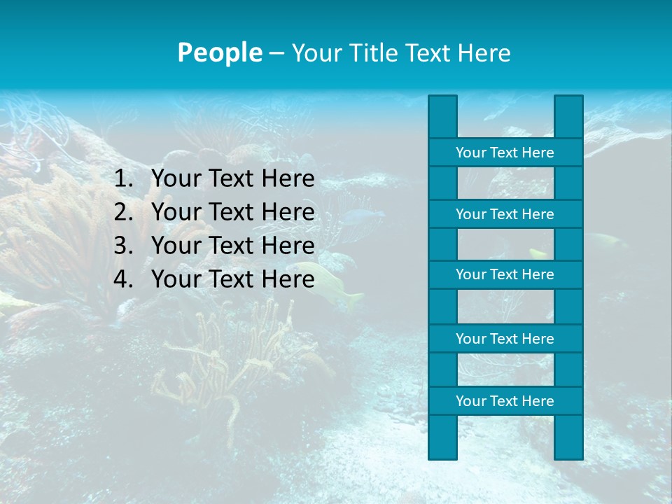 Scenery Yucatan Swimming PowerPoint Template