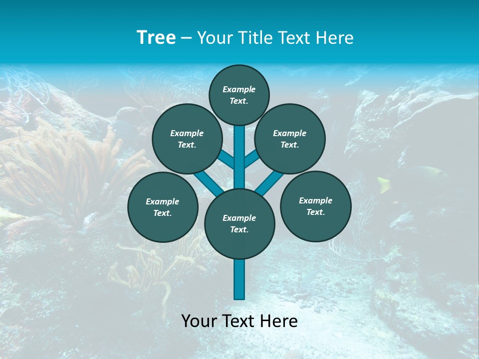 Scenery Yucatan Swimming PowerPoint Template