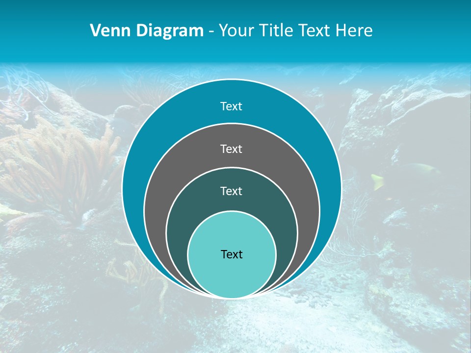 Scenery Yucatan Swimming PowerPoint Template