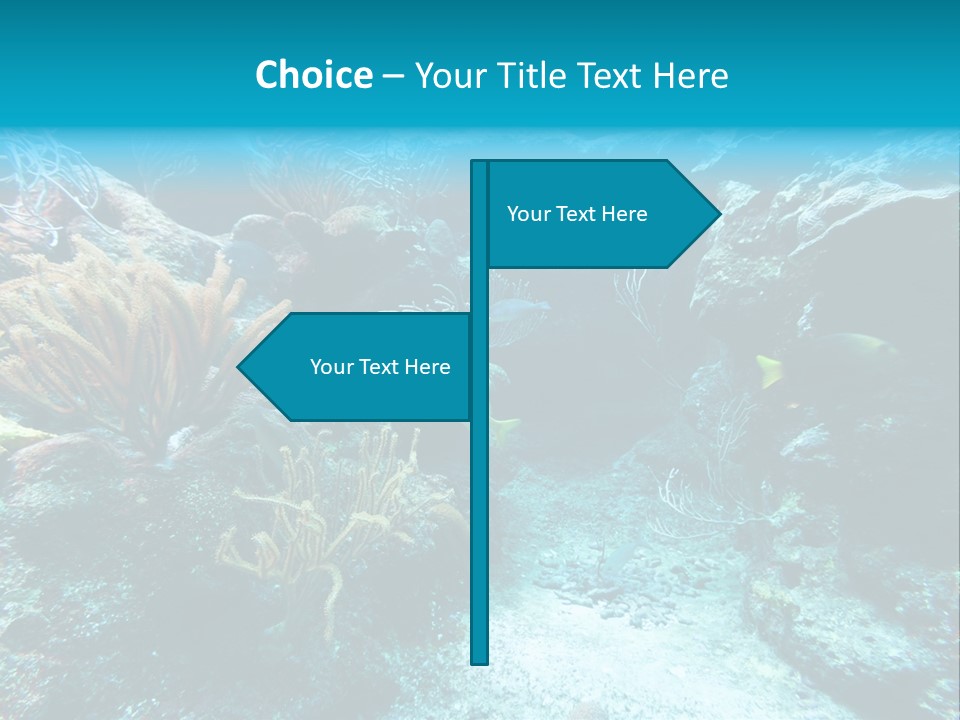 Scenery Yucatan Swimming PowerPoint Template