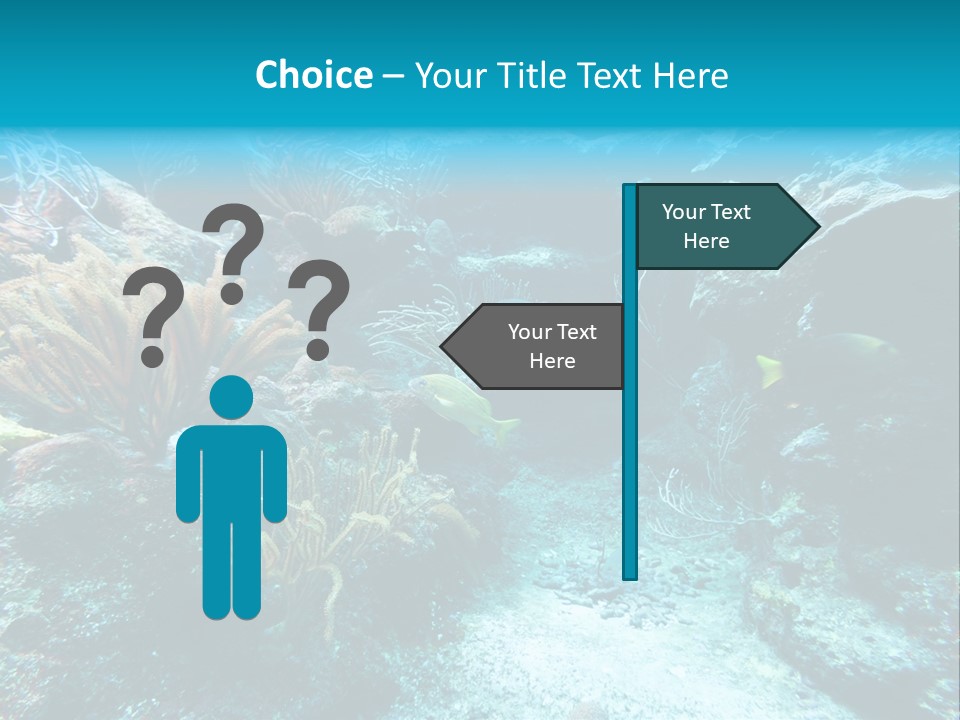 Scenery Yucatan Swimming PowerPoint Template