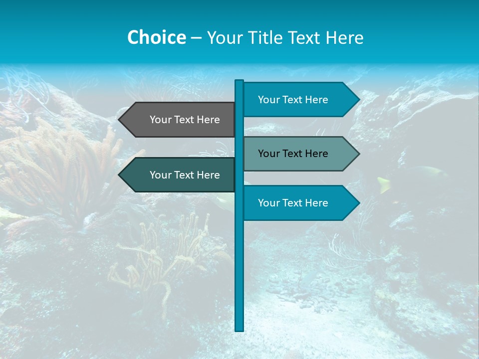 Scenery Yucatan Swimming PowerPoint Template