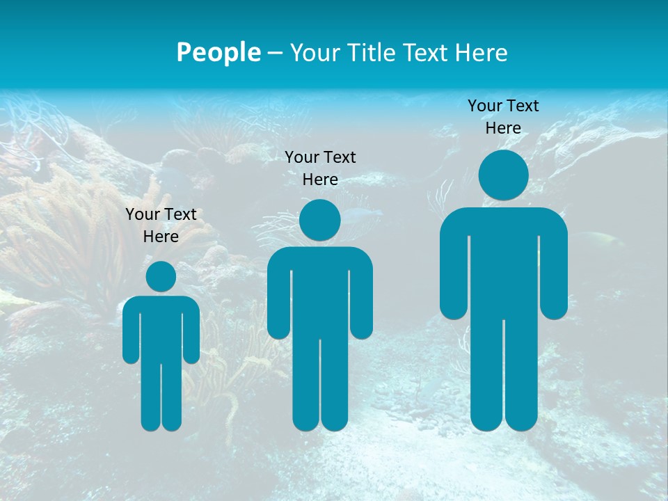 Scenery Yucatan Swimming PowerPoint Template