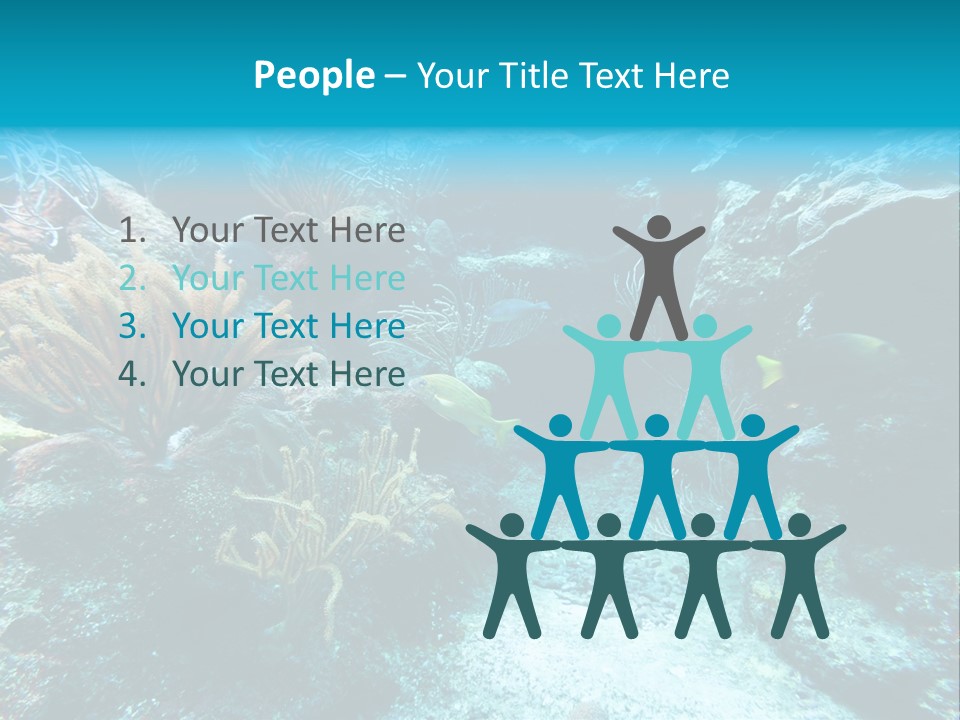 Scenery Yucatan Swimming PowerPoint Template