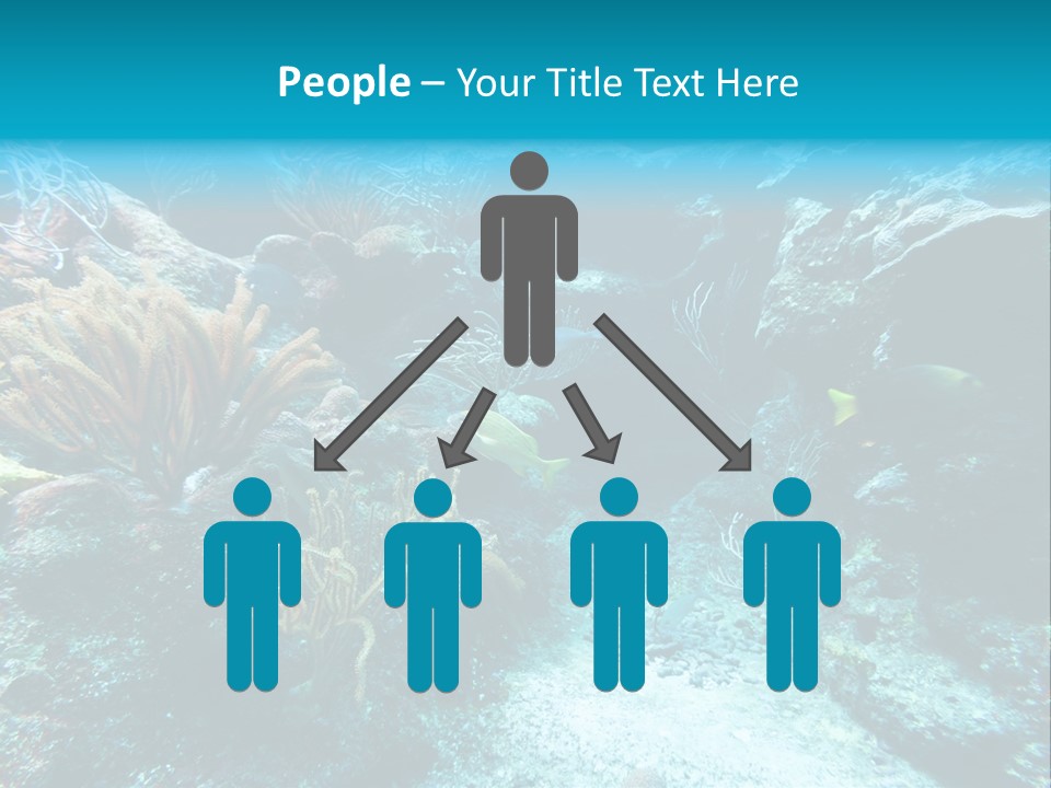 Scenery Yucatan Swimming PowerPoint Template