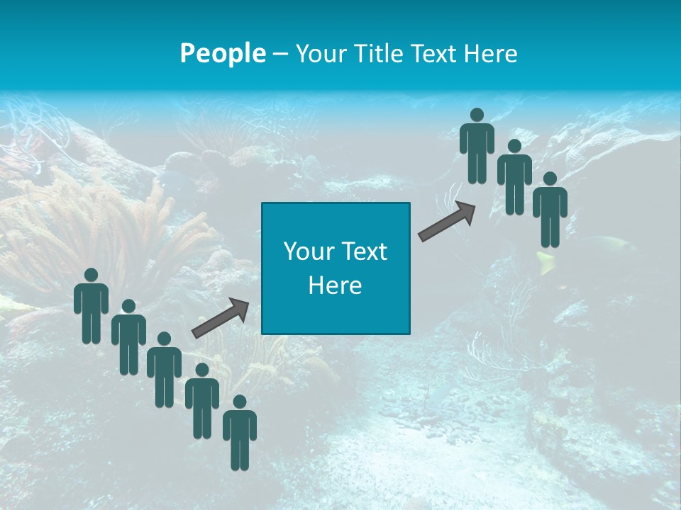 Scenery Yucatan Swimming PowerPoint Template