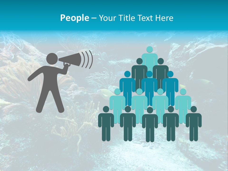 Scenery Yucatan Swimming PowerPoint Template