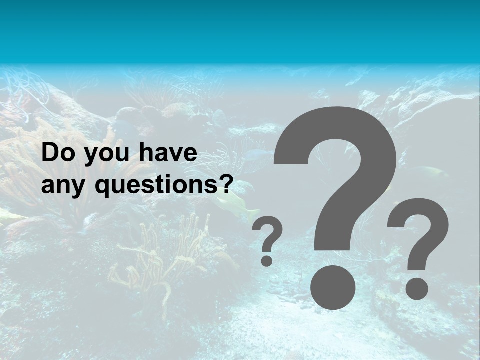 Scenery Yucatan Swimming PowerPoint Template