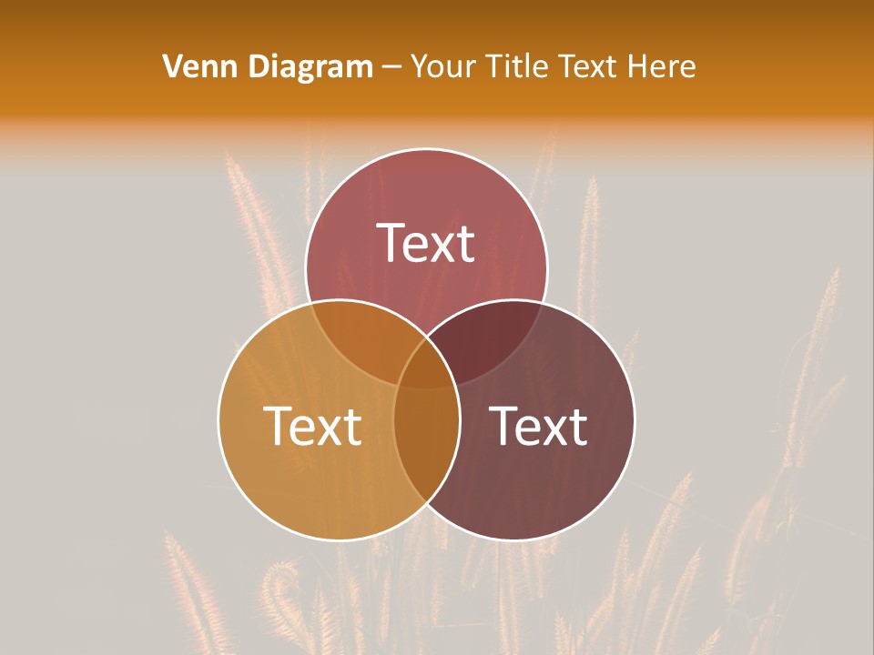 Spring Wallpaper Clover PowerPoint Template