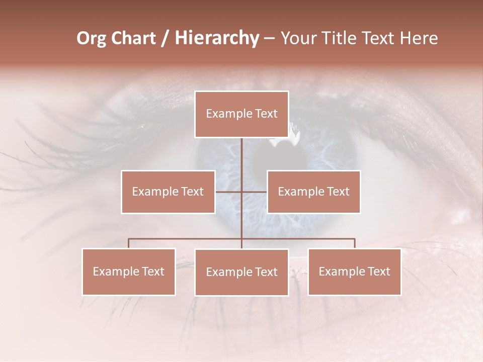 Closeup Pupil Sight PowerPoint Template