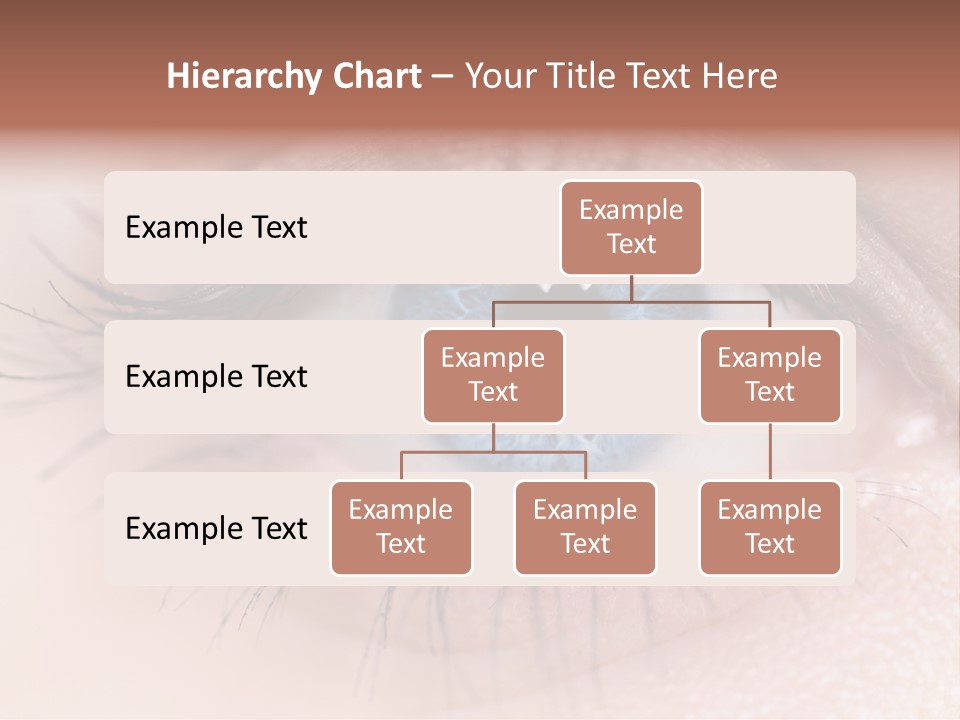Closeup Pupil Sight PowerPoint Template