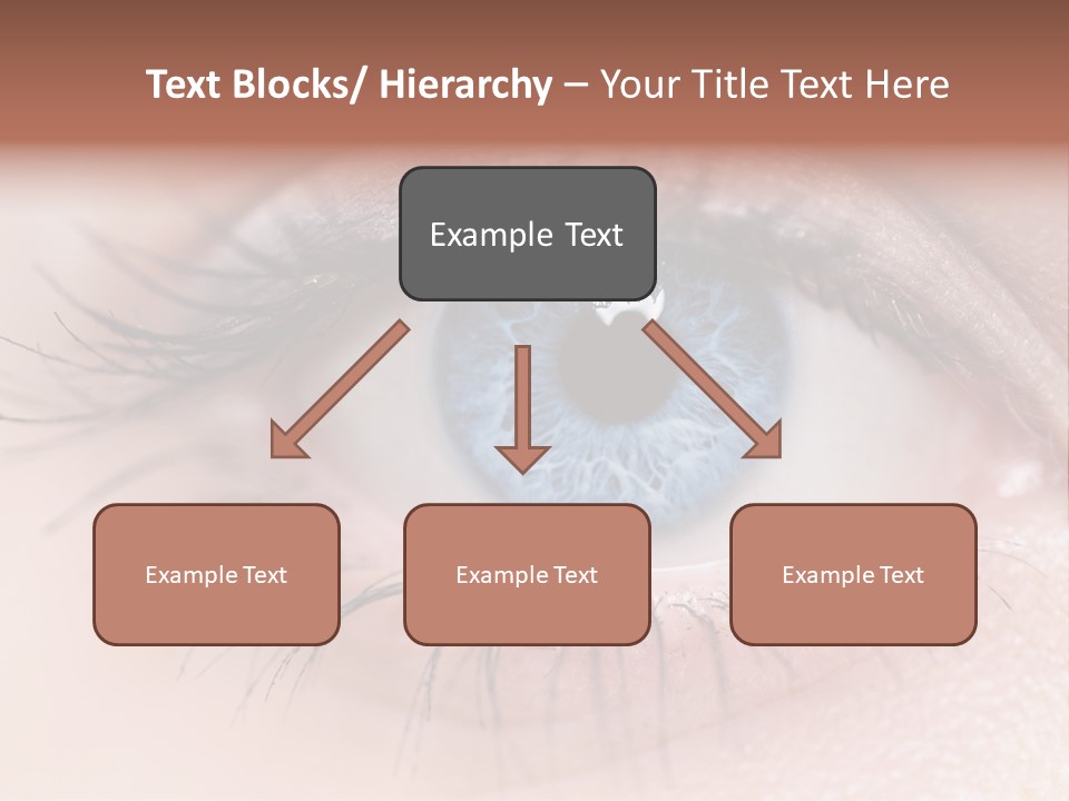 Closeup Pupil Sight PowerPoint Template