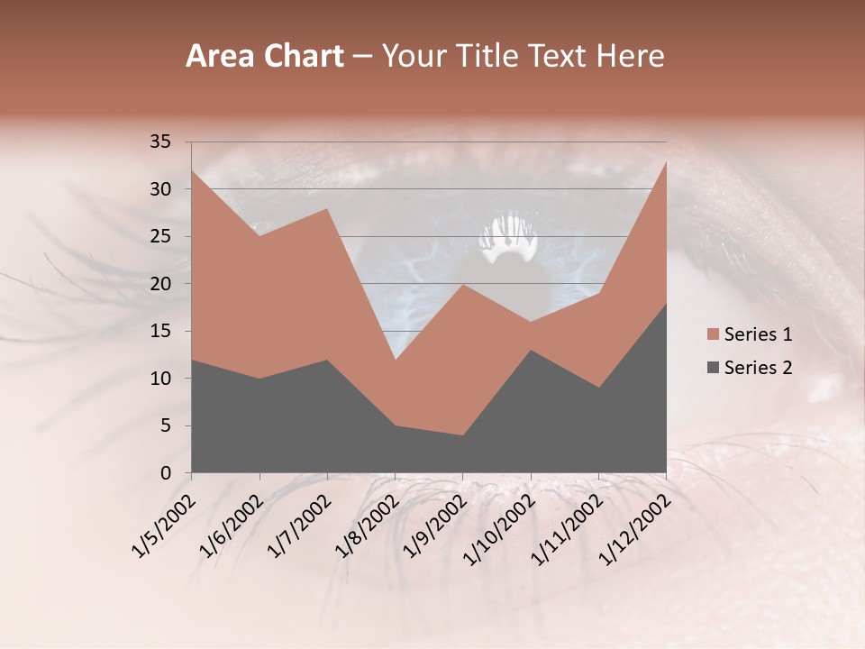 Closeup Pupil Sight PowerPoint Template
