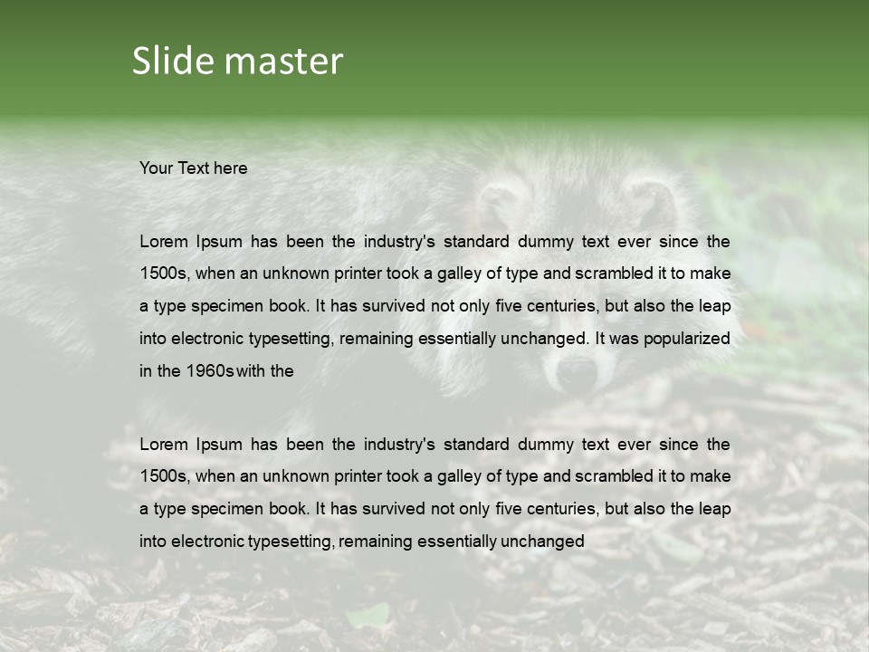 Wildlife Procyonoides Canine PowerPoint Template