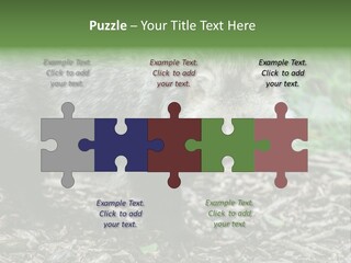 Wildlife Procyonoides Canine PowerPoint Template