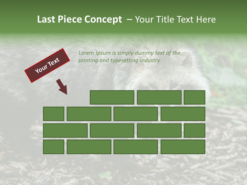 Wildlife Procyonoides Canine PowerPoint Template