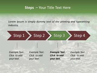 Wildlife Procyonoides Canine PowerPoint Template