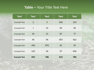 Wildlife Procyonoides Canine PowerPoint Template